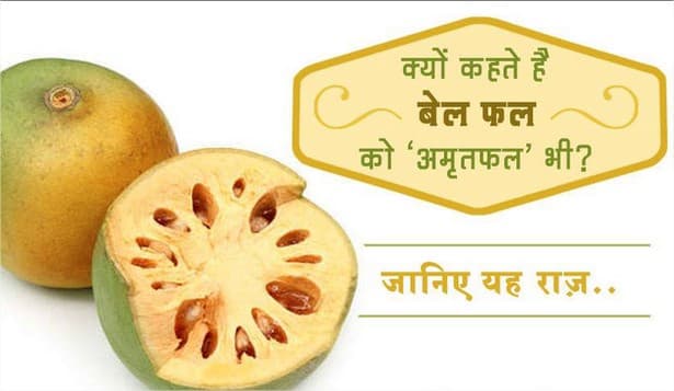 बेल फल के फायदे - Health | Rajpurohit India